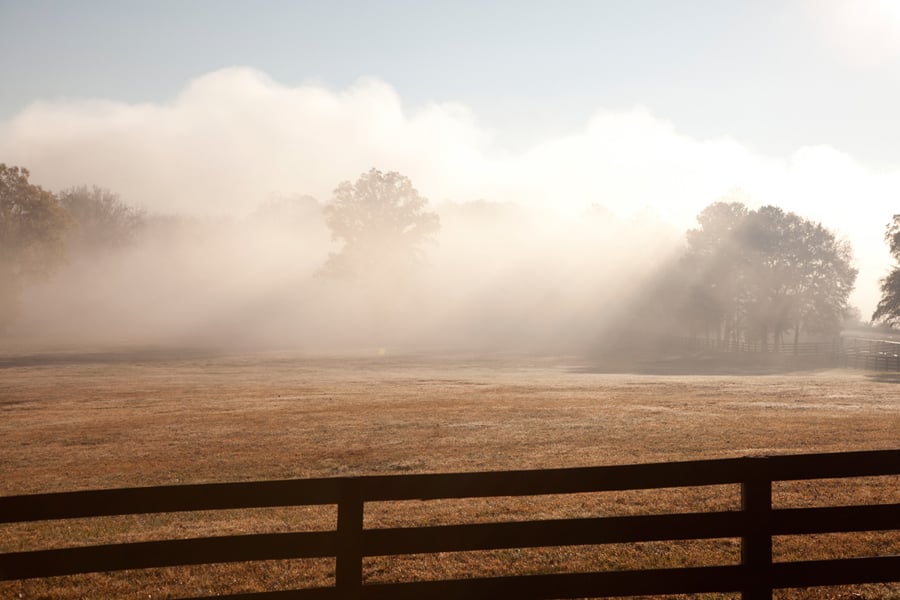 Scenery Shot in Foxhall Atlanta, Georgia