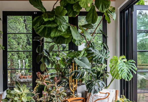 sunroom with lots of greenery