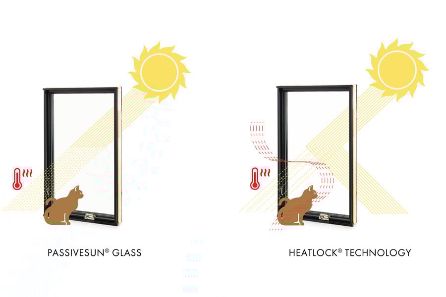 illustration of cat looking out window with sun rays