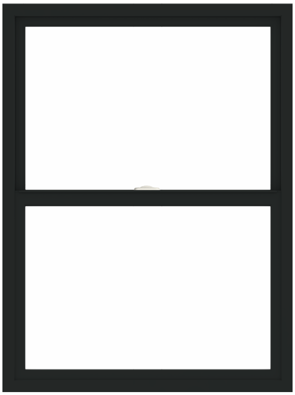andersen 100 series single-hung window with black trim