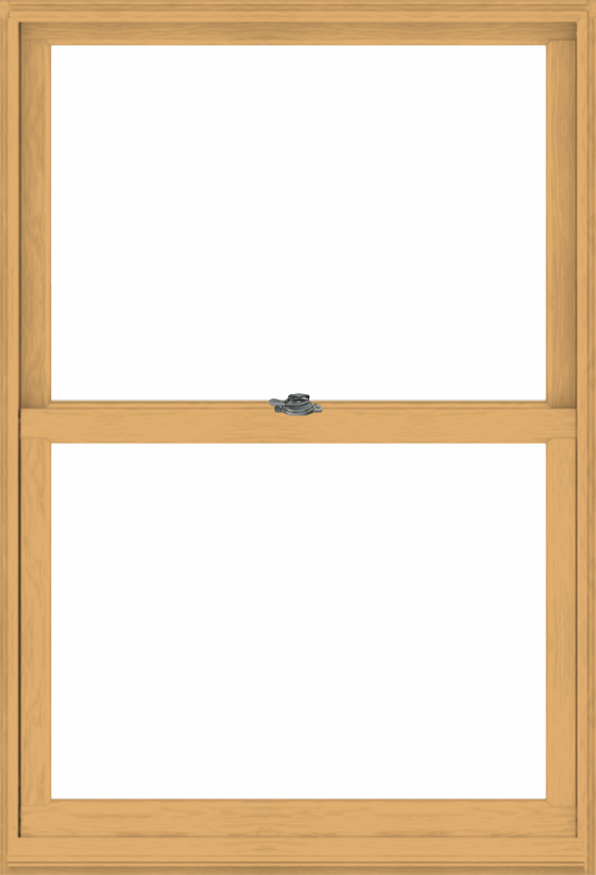 andersen interior natural pine woodwright double hung window
