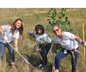 Andersen Celebrates World Environment Day with 10 Days of Nature Preservation Volunteerism
