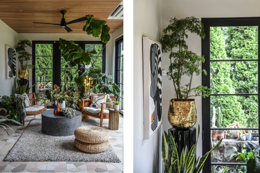Left: Hilton Carter’s light-flooded renovated sunroom provides the perfect environment for his potted plants   Right: A potted plant thrives in the light coming through a glass door in Hilton Carter’s sunroom 