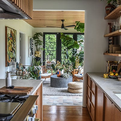 Hilton Carter kitchen and living space with bright light and plants