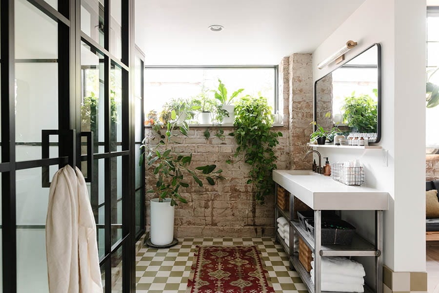 Vintage Revivals Project Bathroom - plants thriving in the light of A-Series windows
