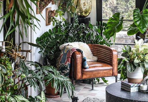 image of leather chair surrounded by plants in living area