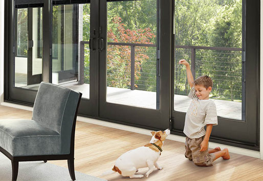boy and dog in front of Andersen black framed doors with blinds between the glass