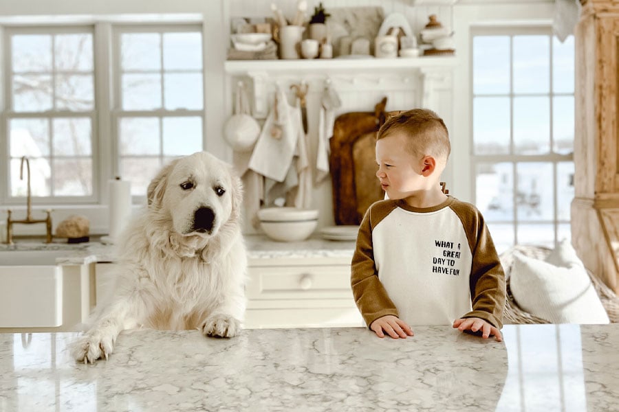 boy and dog sitting at kitchen counter with Andersen white framed windows in background
