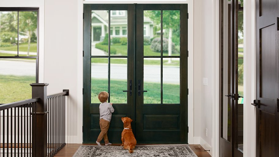 Boy and dog looking out entry door
