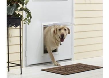 Andersen Storm Doors with Dog Door