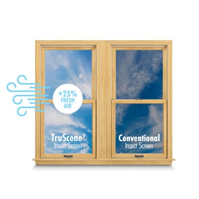 illustration of andersen single double hung window showing air flow